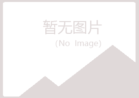 岐山县藏心工程有限公司